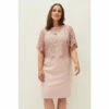 Phase Eight Pink Mariposa Lace Dress