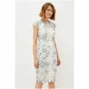 Phase Eight Franky Cream Floral Lace Fitted Dress