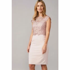 Phase Eight Pink Mariposa Double Layered Dress